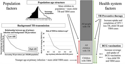 Tuberculous Meningitis in Children: A Forgotten Public Health Emergency